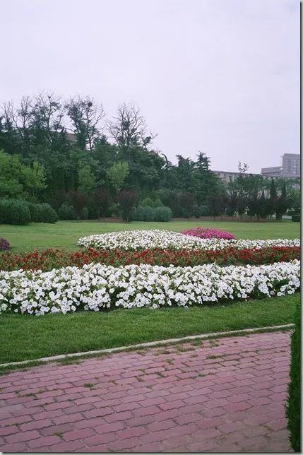 96470016